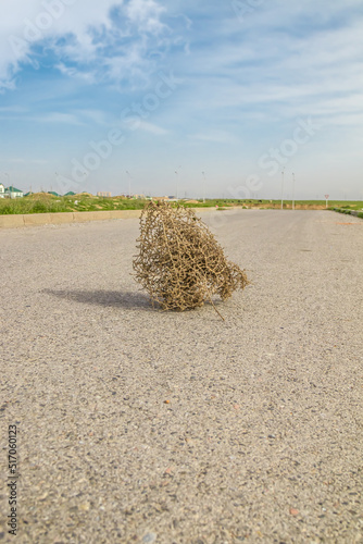 Dry tumbleweed grass rolling down the road