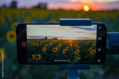 Steadicam for phone that shoots sunflowers