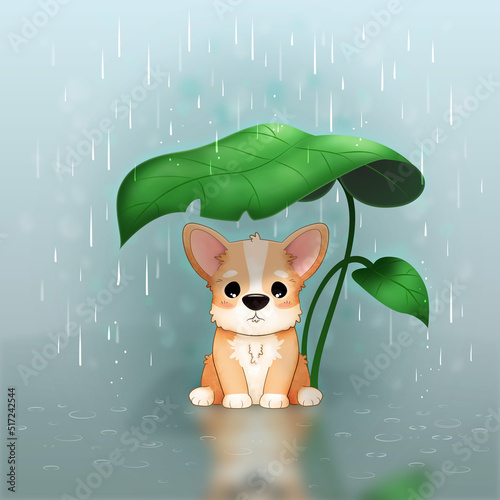 Mały smutny piesek stojący pod liściem w deszczu. Nieszczęśliwy szczeniak Welsh Corgi Pembroke. Mały uroczy zwierzak.