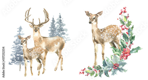 Merry Christmas Watercolor Deer, fawn in woods,forest arrangement, bouquet, frame,scene illustration. Winter Woodland forest animal card,christmas greetings,holiday, invite,flyer,poster, diy