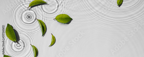 Organic cosmetic background clean transparent waves, water splashes with green leaves
