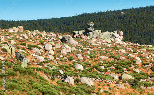 Rochers de granit parsemant la lande du Finiels au Mont Lozère.