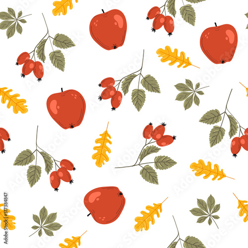 Seamless pattern with hand drawn rose hips, apple and leafs on white background. Rose hips illustration isolated on white background. Botanical illustration.