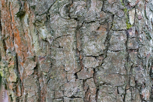 drewno tekstura stary szary deseń panel naturalny twardy stary wyblakły zniszczony deska nawierzchnia