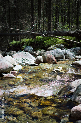 Górski potok, kamienie, woda, strumień płynący w Tatrach, Polskich Górach, Droga Zakopane - Morskie Oko.