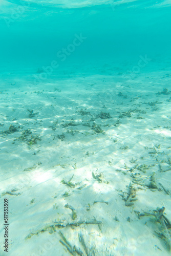 Underwater shot of white sand and coral reef with turquoise water above it in the Maldives - Portrait 