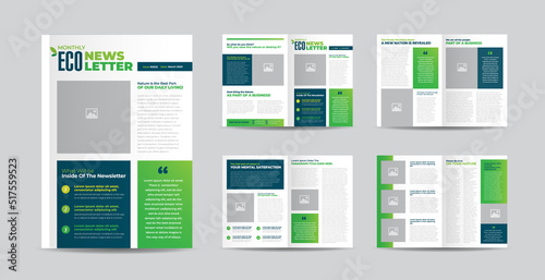 Business Newsletter Design or Journal Design or Monthly or Annual Report Design 