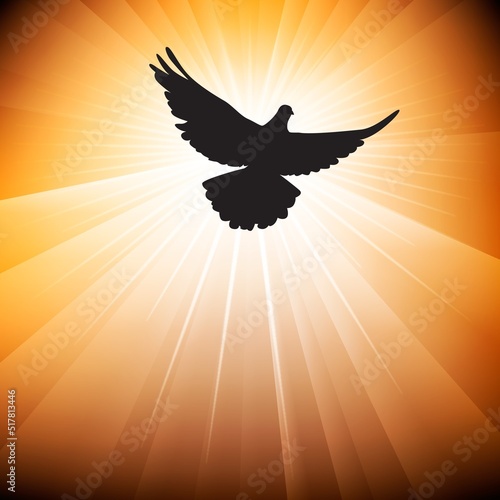 Pentecost Sunday. Pentecost background with flying dove and light