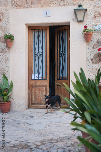 Stare zdobione drzwi w Valldemossa Majorka Hiszpania