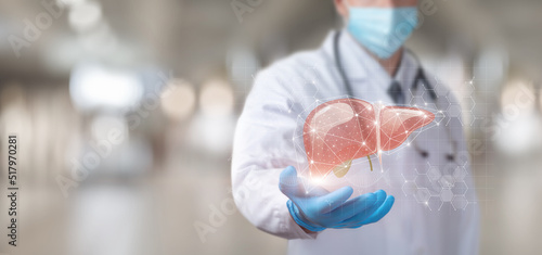 Showing liver on virtual computer screen.