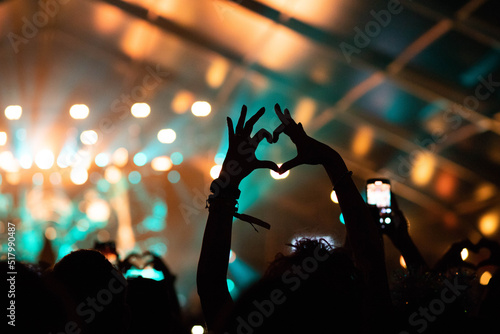 crowd at concert - summer music festival