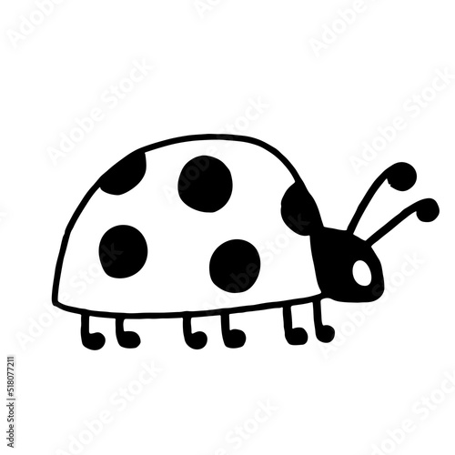 Funny ladybug in doodle style. Hand drawn cute insect vector illustration.