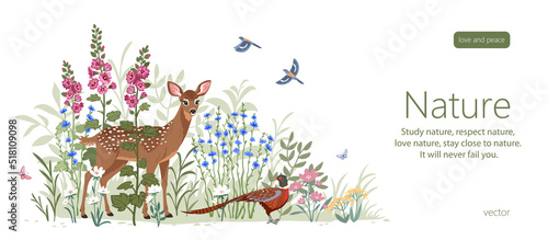 deer and pheasant