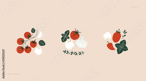 Tomato and basil with mozzarella cheese balls. Food collection. Vector illustration