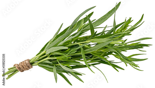 Tarragon bunch isolated on white background