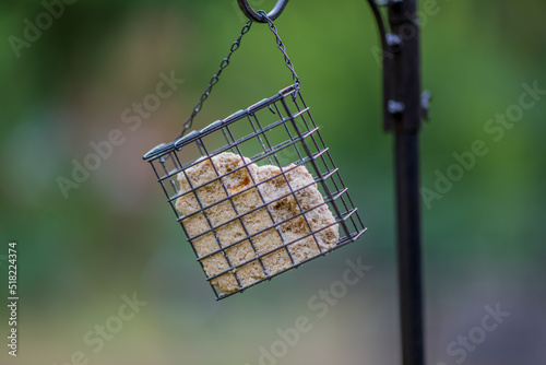square bird feeder