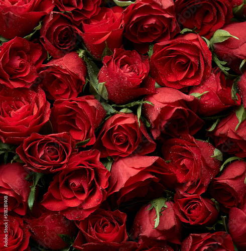 Beautiful red roses flowers background