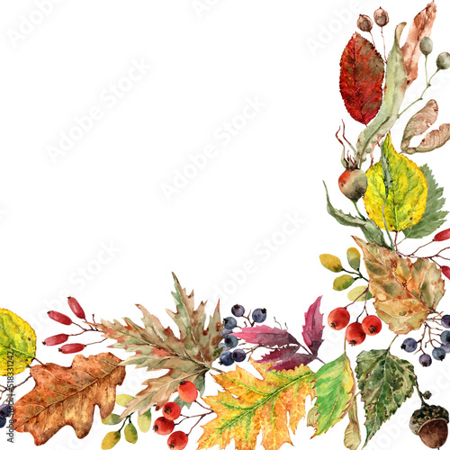 Square corner frame decorated with autumn leaves.Colorful leaves, wild rose, berries, acorns, rowan bunch.Hand drawn watercolor white background for wedding invitation cards, thanksgiving, banner.