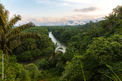 Palmoil plantation with smoke of industry in Sumatra Indonesia