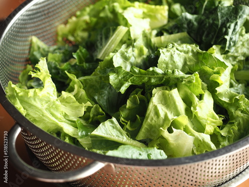fresh cos lettuce salad in colander