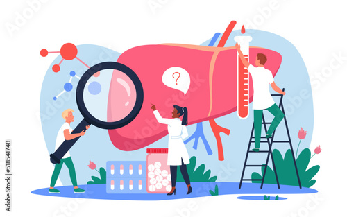 Medical research and study of patients liver by tiny doctors vector illustration. Cartoon people holding magnifying glass and test tube with donation blood, hepatologists analyzing disease and problem