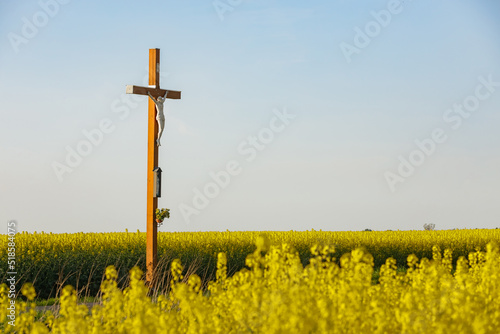 Drewniany krzyż w otoczeniu kwitnącego rzepaku
