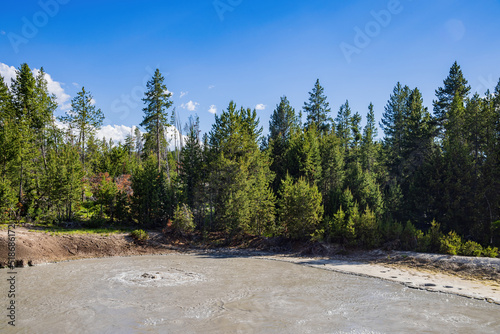 Sunny view of the landscape around Mud Volcano in Yellowstone National Park