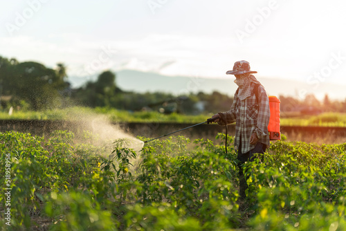 Farmers are using chemical sprayers on their farm fields. to prevent insects To nourish plants. Use of agricultural chemicals.