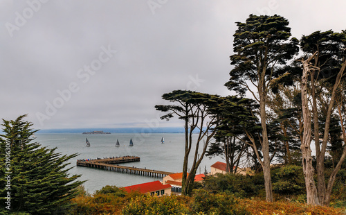 View of San Francisco Bay and Alcatraz with low hanging fog and Monterey cypress trees seen from Fort Point trail in the summer in San Francisco, USA