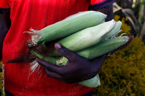 Farmer carrying corn