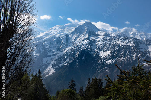 Landscape of the French Alps with the Mont Blanc