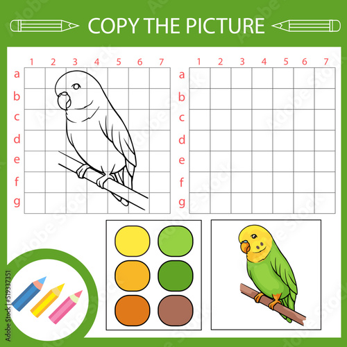 Copy drawing of cute budgie parrot. Children education activity page and worksheet with riddle and game. Kids draw art lesson.