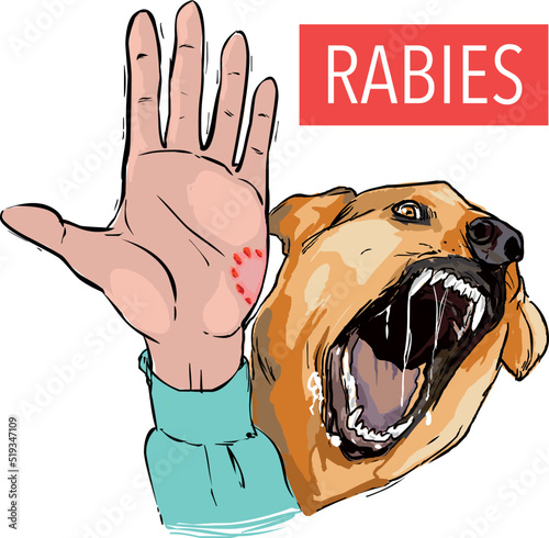 Dog bite, sick animal, the rabies virus 