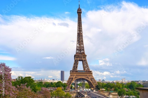 panorama of the Eiffel Tower, Paris, France