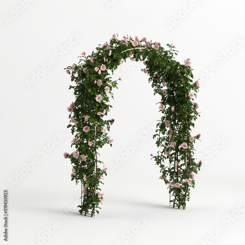 3d illustration of arch flowers isolated on white background
