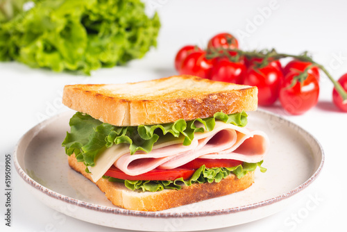 Close-up of two toasted sandwiches with fresh ham, cheese and vegetables on background. Club sandwich and take-away concept. Fast food. 