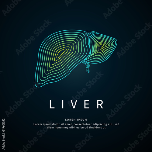 Vector logo liver color silhouette on a dark background. Human liver medical structure- EPS 10