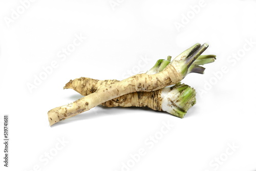 Horseradish roots isolated on white background. Fresh horseradish. Fresh and grated horseradish 