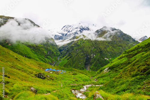 alpine meadow in the mountains