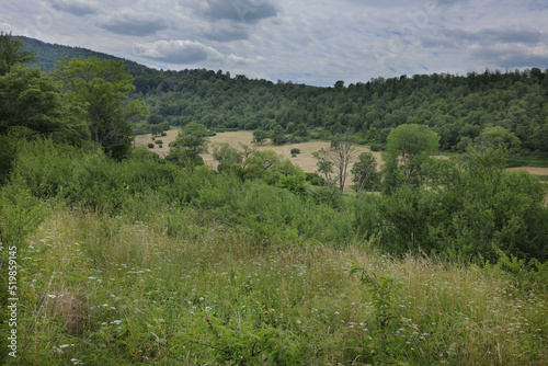 Krywe to dawna wioska w samym sercu Bieszczad z której zachowały się tylko ruiny i łąki . Opuszczone dawne pola i łąki- dzisziejszy krajobraz wioski Krywe