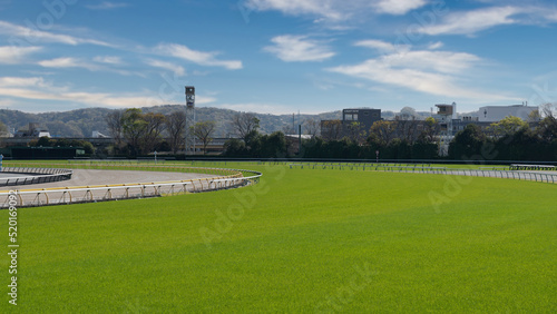 Racetrack turf