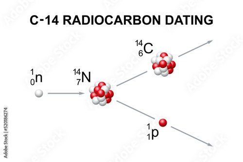 Radiocarbon dating, known as carbon or C-14 dating. A method of determining the age of an object containing organic material, by using the properties of radiocarbon, a radioactive isotope of carbon.