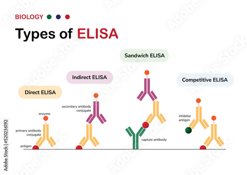 Molecular Biology diagram present type of the enzyme-linked immunosorbent assay or ELISA