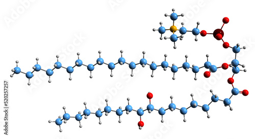 3D image of Hydroxylated lecithin skeletal formula - molecular chemical structure of chemically modified lecithin isolated on white background