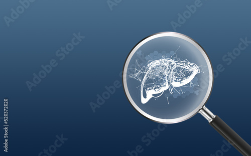 The liver hologram examines and analyzes the test results on the virtual interface. Donation, future medicine, hospital service, digital healthcare, and network connection are all possibilities.