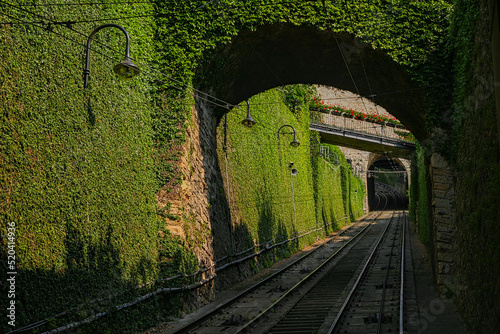 Tory kolejowe w zielonym tunelu
