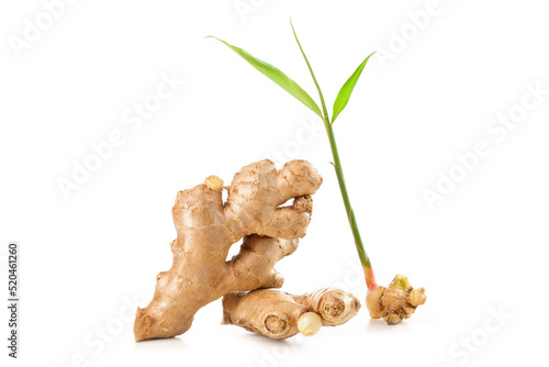 fresh ginger rhizome with leaves on white.