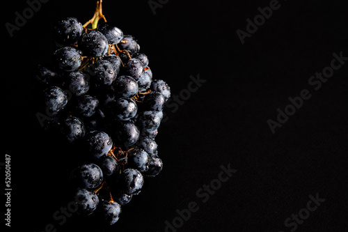 red wine grapes on black backround