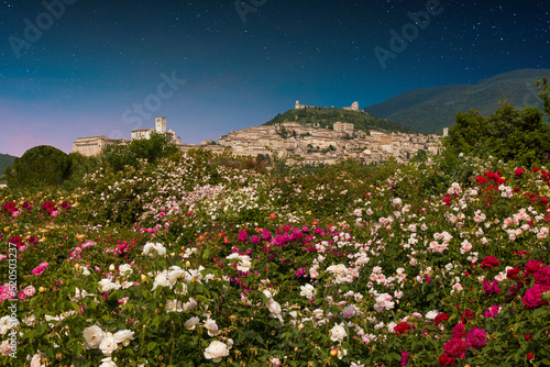 View of Assisi medieval town of peace at night in Umbria