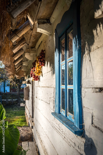 biały stary drewniany dom, z niebieskimi okiennicami, pokryty słomianą strzechą.